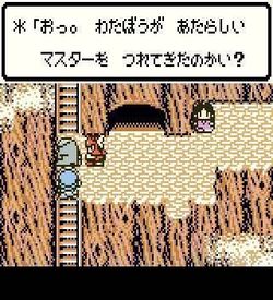 Dragon Quest Monsters - Terry No Wonderland (V1.0) ROM
