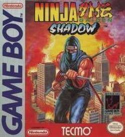 Ninja Gaiden Shadow ROM