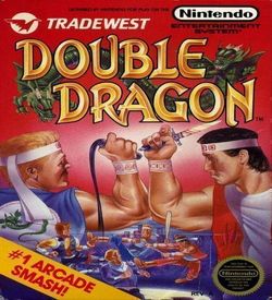 Double Dragon (Nude Hack) ROM