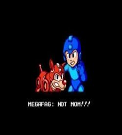 Megafag (Mega Man Hack) ROM