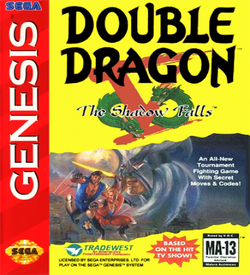Double Dragon V - The Shadow Falls ROM