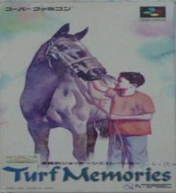 Turf Memories ROM