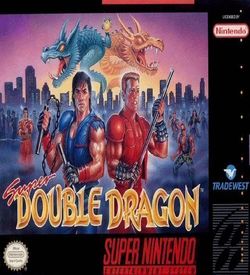 Super Double Dragon ROM