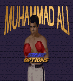 Muhammad Ali Boxing (Beta) ROM