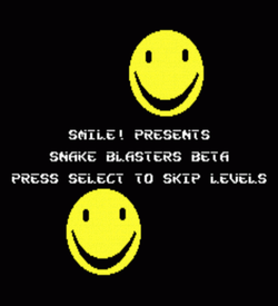 Snake Blasters (PD) ROM
