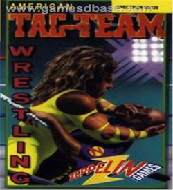 American Tag Team Wrestling (1992)(Zeppelin Games) ROM