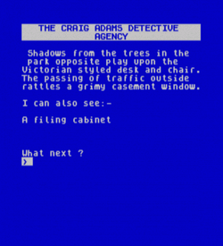 Confidential (1985)(Radar Games) ROM