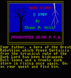 Dark Storm (1989)(Global Games) ROM