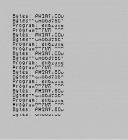Endzone - 90f Rosters (1990)(Sport-Sim)(Side A)[128K] ROM